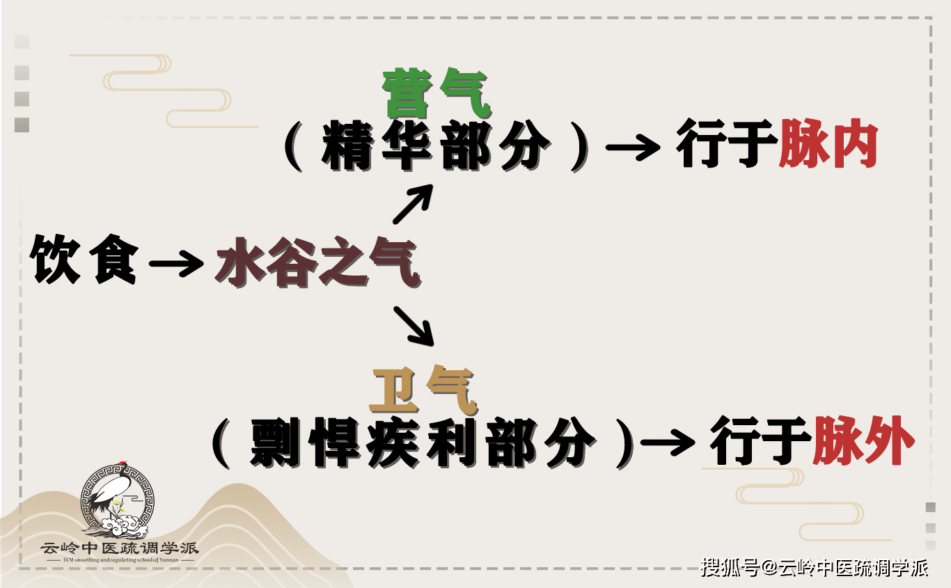 不是像营气那样循环的,这种气叫做卫气