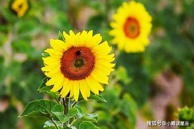 触动心弦的情感短语,句句说到痛点,让人百感交集