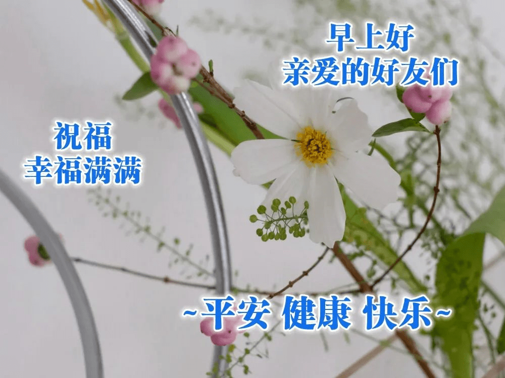 2021年最新漂亮早上好动态美图鲜花带字,早晨好幸福暖