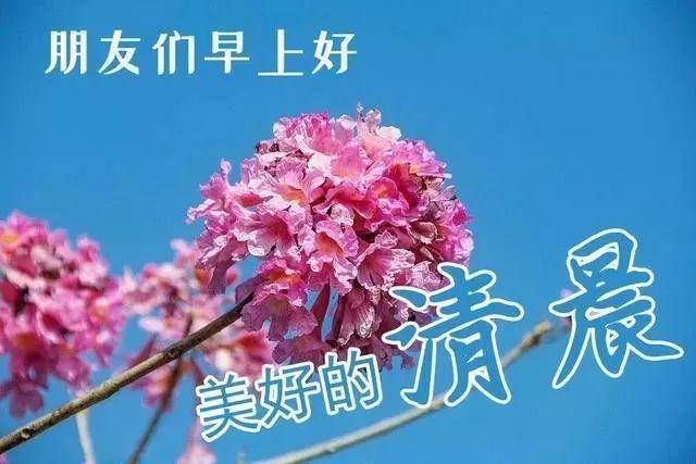 2021年最新漂亮早上好动态美图鲜花带字,早晨好幸福暖