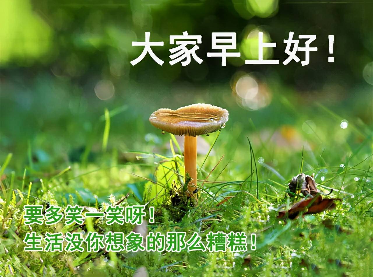 超暖心早上好问候祝福语唯美图片,2021年最美早晨好问候祝福语短信