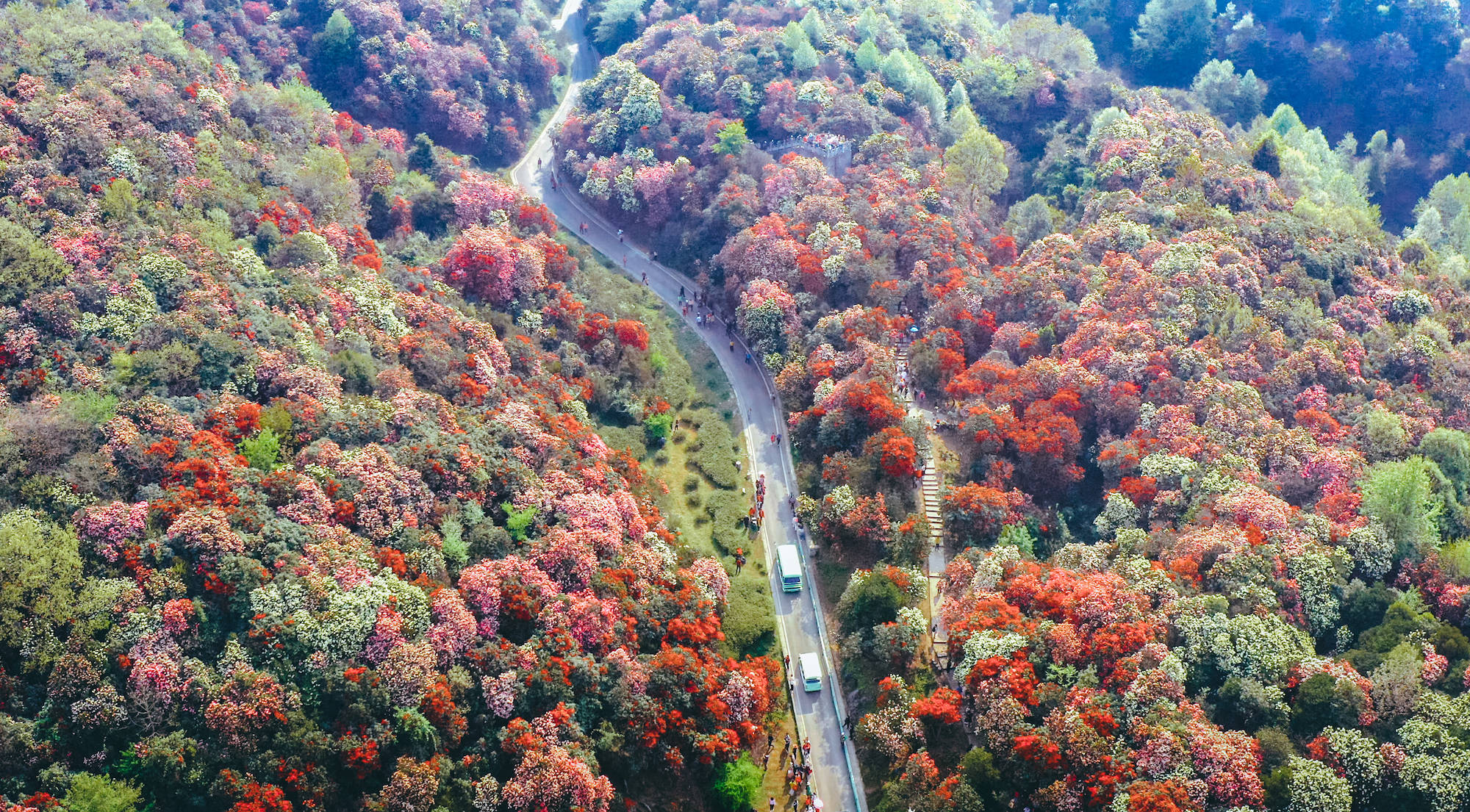 在普底景区,数花峰可以让你"一览众山小"