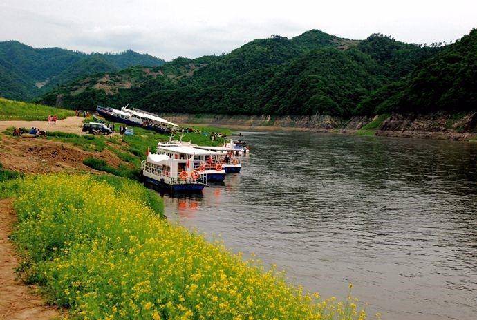 浓似春云淡似烟 参差画到绿江边——绿江美色_江村