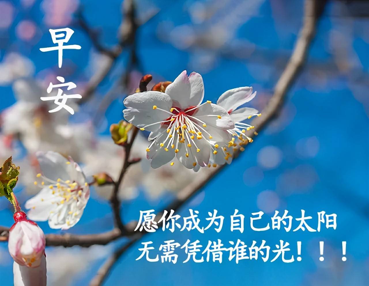 2021新年早安图片,早安吉祥平安顺利图片 早上好温馨祝福语句,2021年早安祝福图片大全,朋友圈温馨清晨祝福