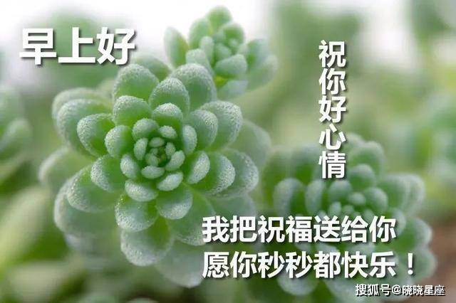 愿你金钱滚滚财运顺,愿你健康相伴,快乐久久,早安祝福
