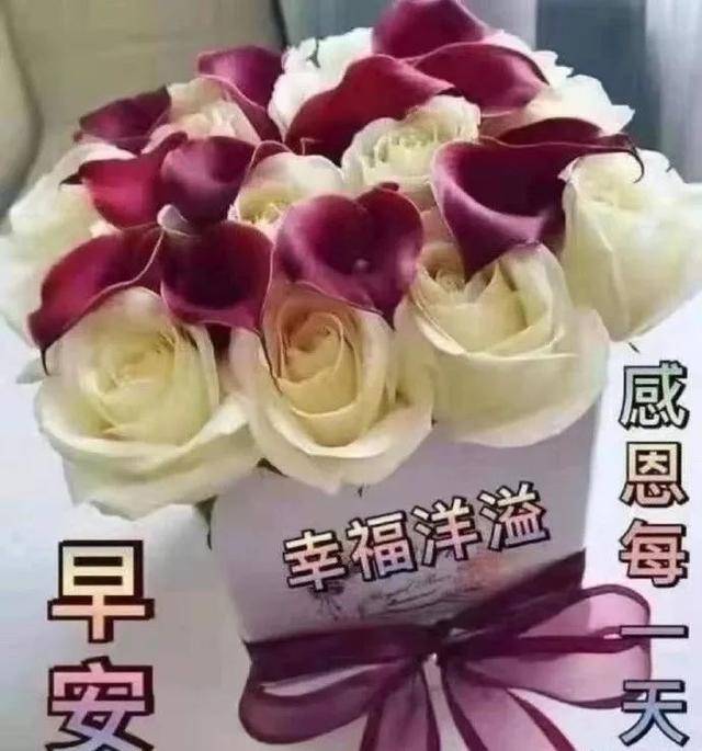 原创漂亮的早晨灿烂的你完美的生活在等你早上好祝福语句图片大全