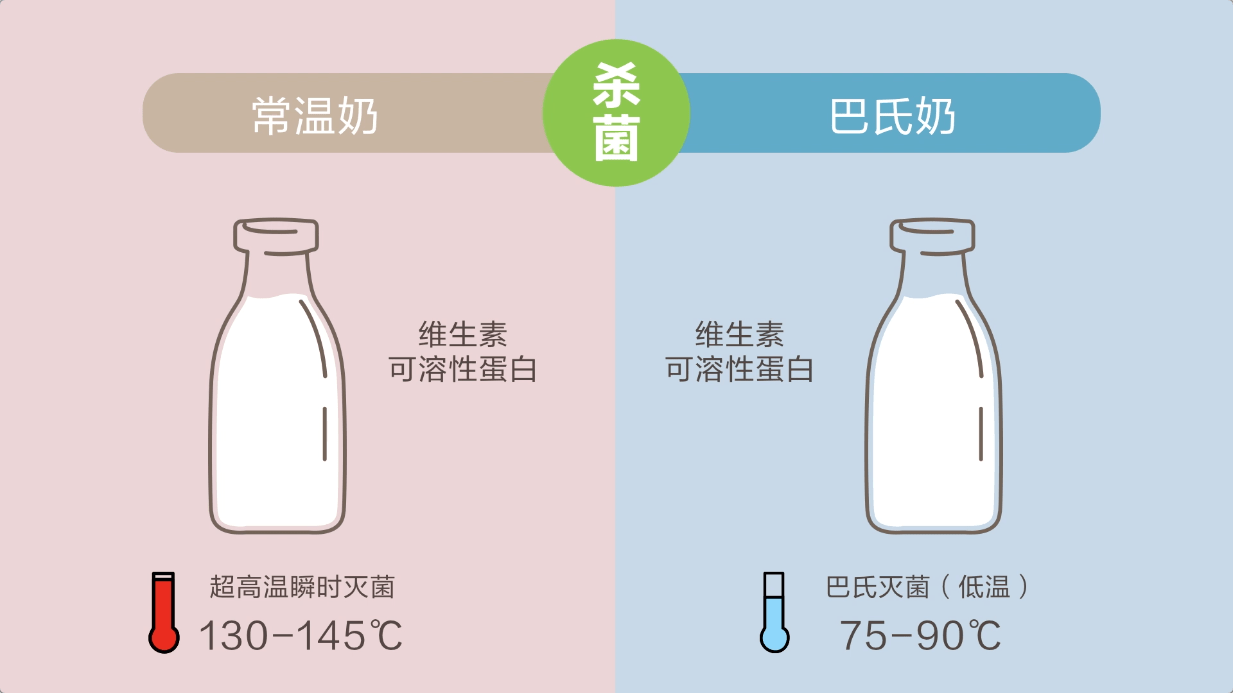 牛奶怎么选?巴氏杀菌乳—才是顶呱呱的鲜牛奶!