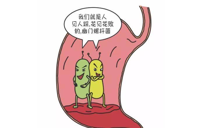 原创幽门螺杆菌"害怕"的食物已找到,若你常吃,你的胃部或会感激你