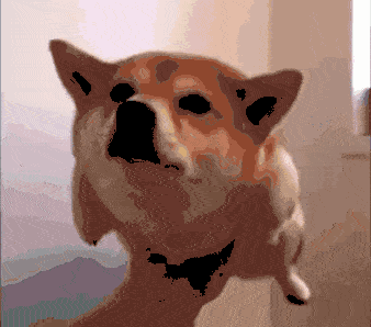 旋转狗~自行脑补gif格式!