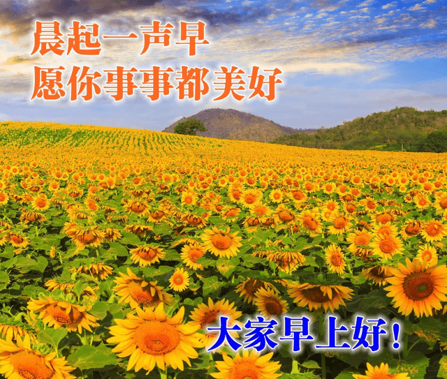 早上好唯美图片带鲜花,清晨温馨祝福句子加表情