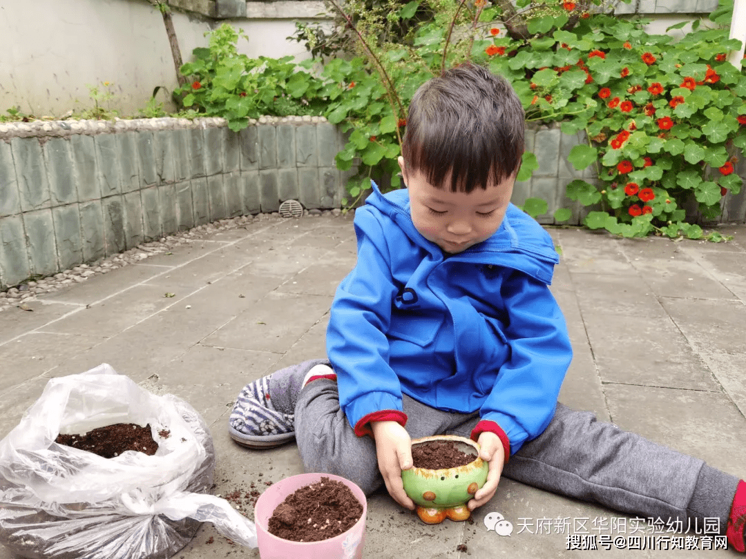 一起来看看小朋友们种的植物吧!