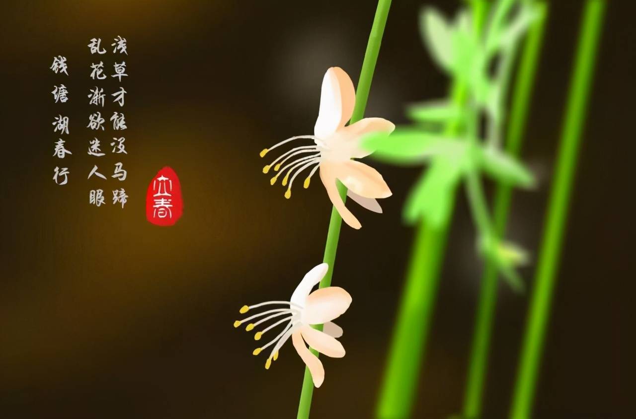 惠济区实验小学纪元之声二十四节气立春