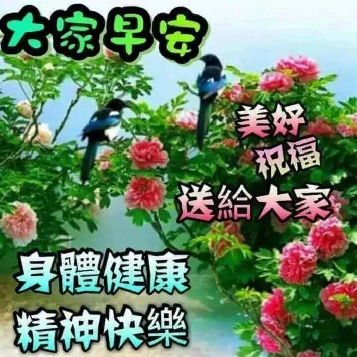 原创周日早上好,11张唯美的暖心的周末早安问候图片带字