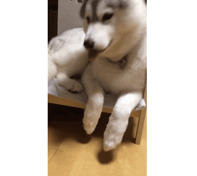 640_571gif 动态图 动图