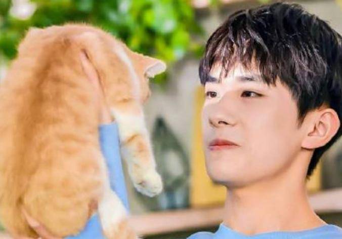 同样是抱着猫,肖战温柔,千玺宠溺,唯独王一博像极了"猫贩子"