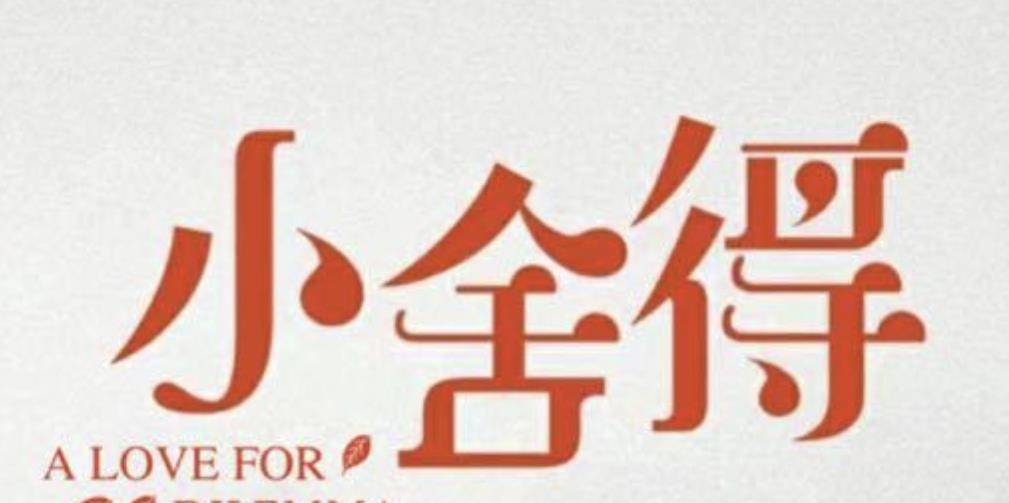 小舍得演出中年人家庭现实,难怪有35岁辞退论