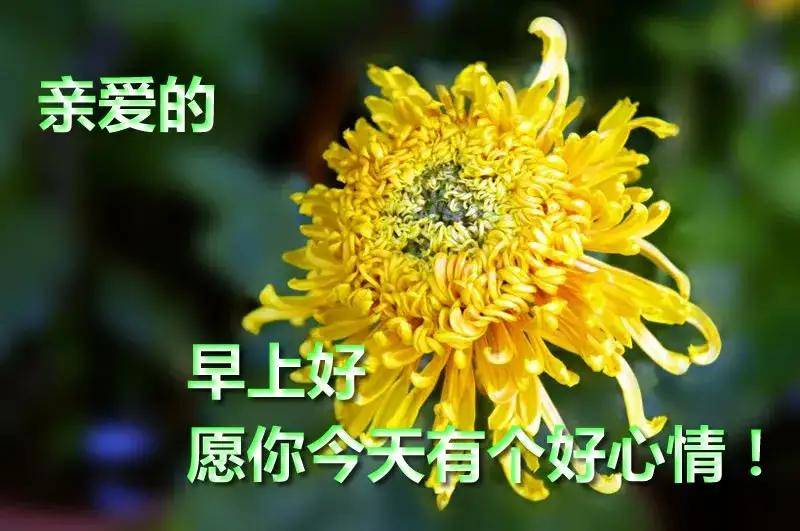 心怀善念,能利人;心怀感恩,能利己!早安