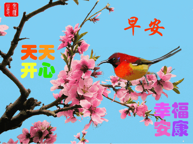 8张不用打字就可以聊天的早上好动态表情图片 创意好看的春日清晨早安
