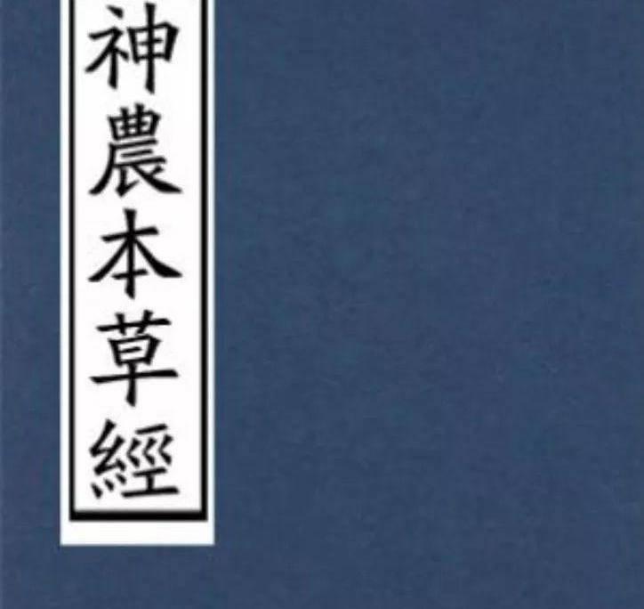 枸杞泡水弱爆了,这些健康搭配你一定不知道!_功效