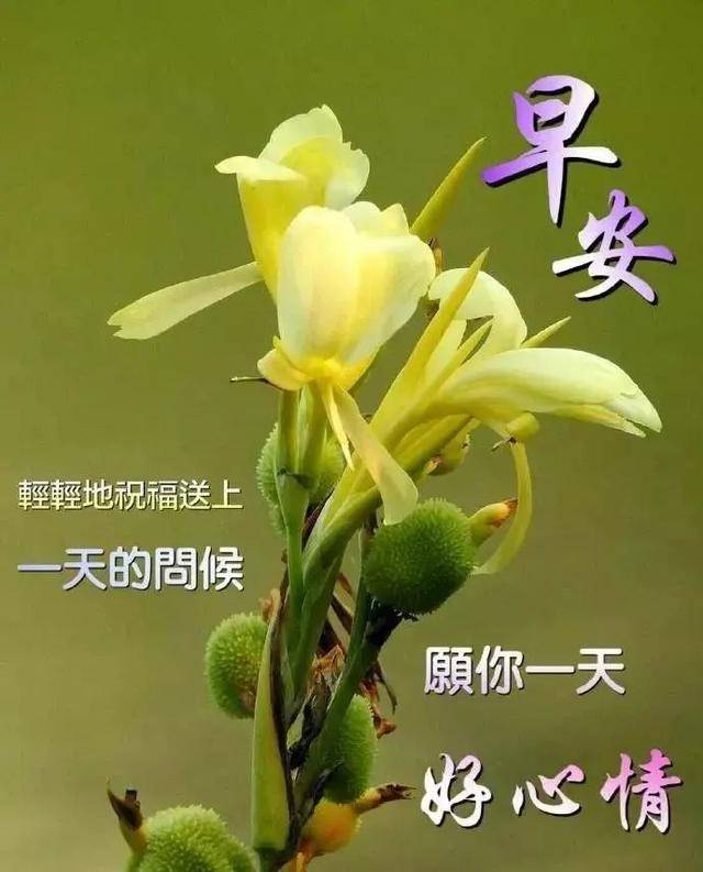 原创2021年早安祝福语录,朋友圈温馨祝福图片,祝愿你的生活越过越幸福