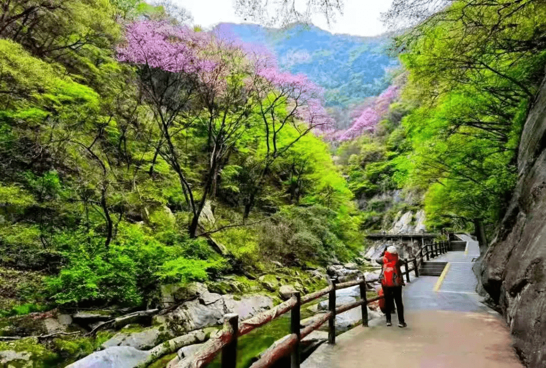 秦岭雨后新洗,观瀑赏花尽在太平国家森林公园