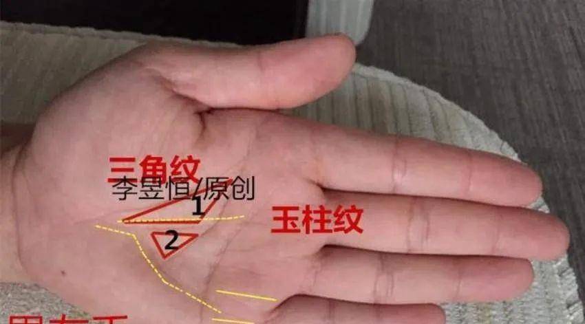 第二,玉柱纹y纹,事业有成富贵人:这位男士伸开左手,掌色红润气色佳