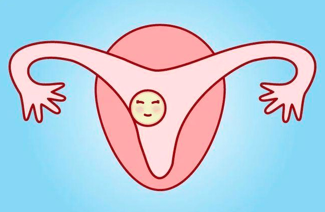 是反应子宫内膜在月经周期中b超检查的表现.