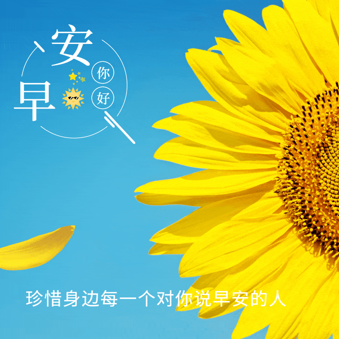 清晨最美早上好动态祝福图片带字早上好阳光励志问候语