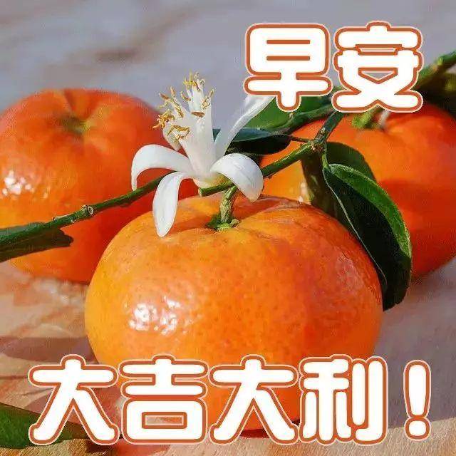 祝福图片新版2021,今天最新祝福语图片 2021年4月27日星期二早上好问候祝福动态图片 周二早安问候祝福图片带
