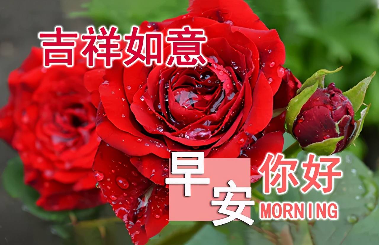 清晨最美早上好动态祝福图片带字早上好阳光励志问候语