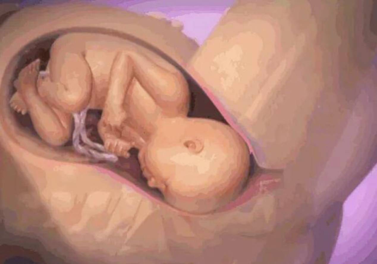 产妇宫缩时,肚子里的宝宝有什么反应？又萌又让人感动