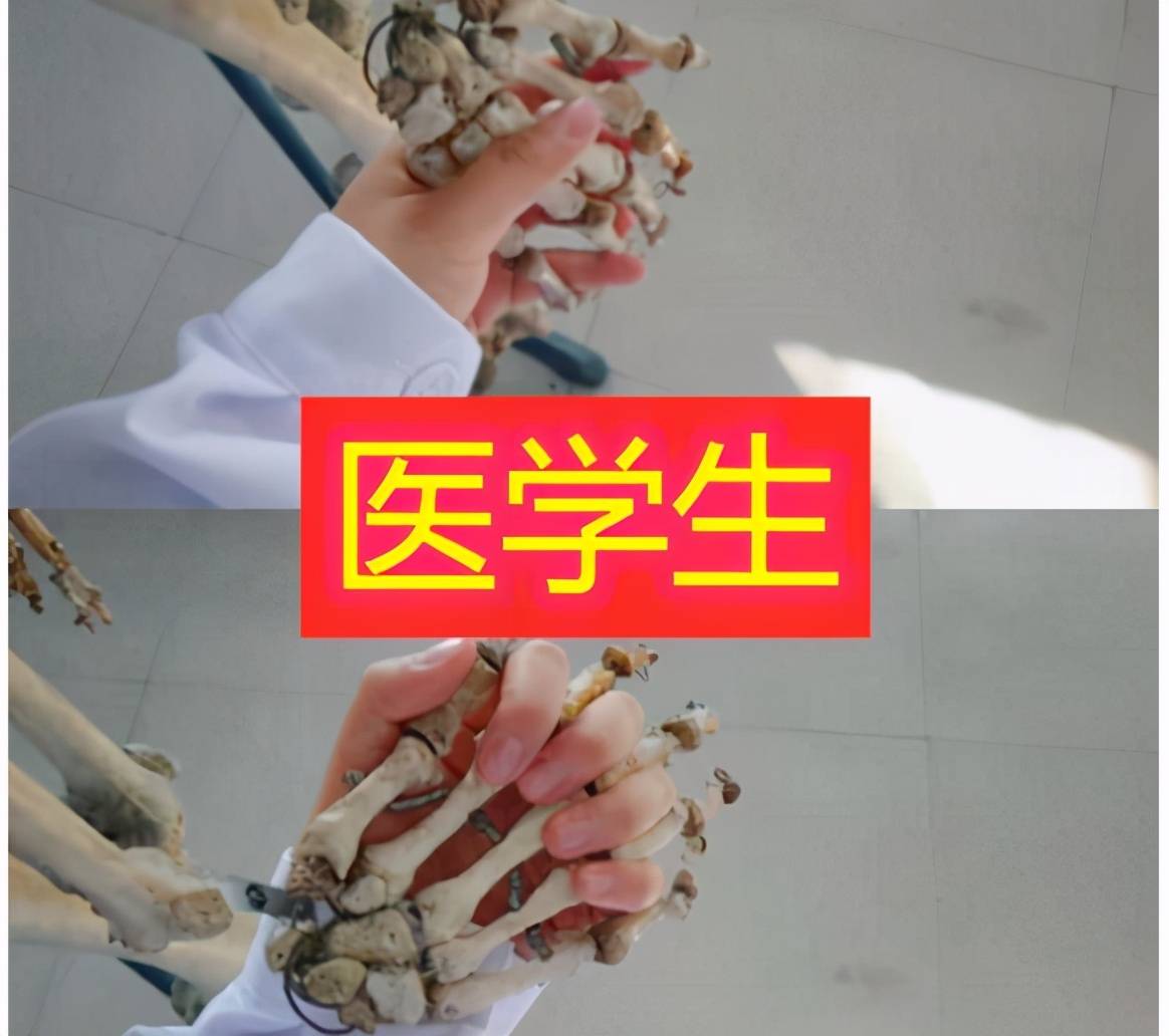 蟑螂就能够跳起来的人,但学医的女生往往看见这些画面就会比较淡定