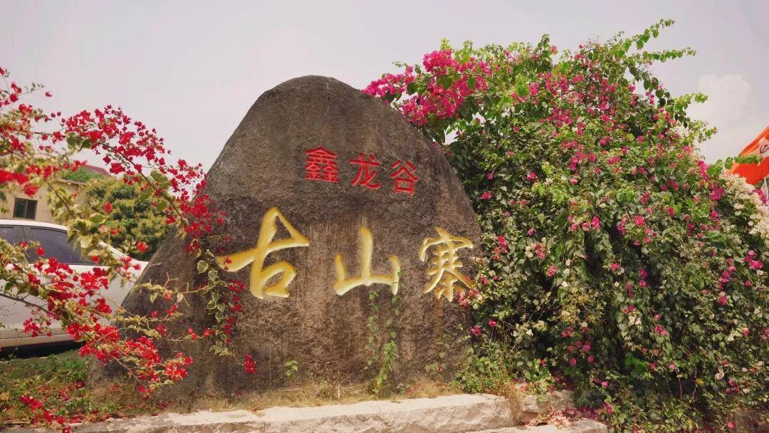 红色文化研学基地鑫龙谷休闲山庄邀您共赏春日远道而来