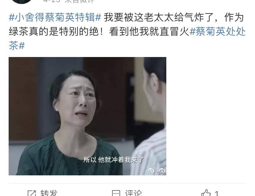 原创吴玉芳:《小舍得》中演蔡母,21岁成影后,却没想到58岁落得骂名