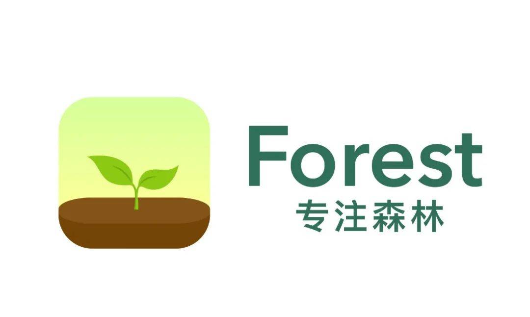 forest 专注森林是谁?
