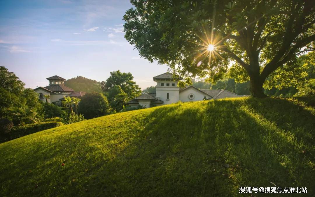 千岛湖天屿别墅_楼盘详情——欢迎您「官方网站」