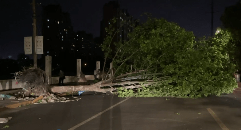 江苏南通出现冰雹和大范围雷暴大风 最大风力14级