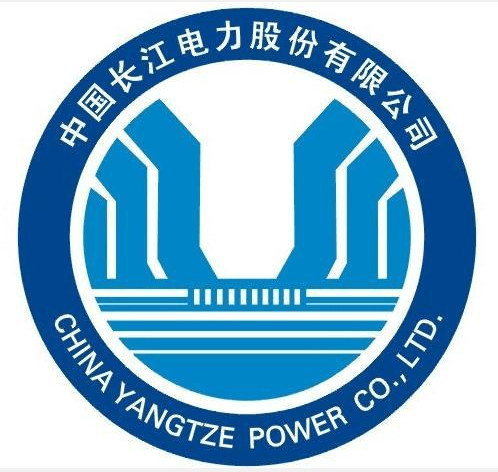 在国有企业中,中国长江电力(长江电力)截至 2019 年底运营着全国水电