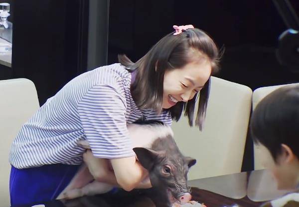 同样是养宠物,宋茜和宠物猪吃一块蛋糕,蒋梦婕狗狗撒尿一脸嫌弃