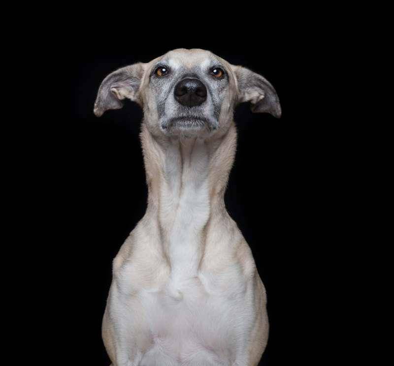 elke vogelsang aka wieselblitz是来自德国的一名商业摄影师,在经历