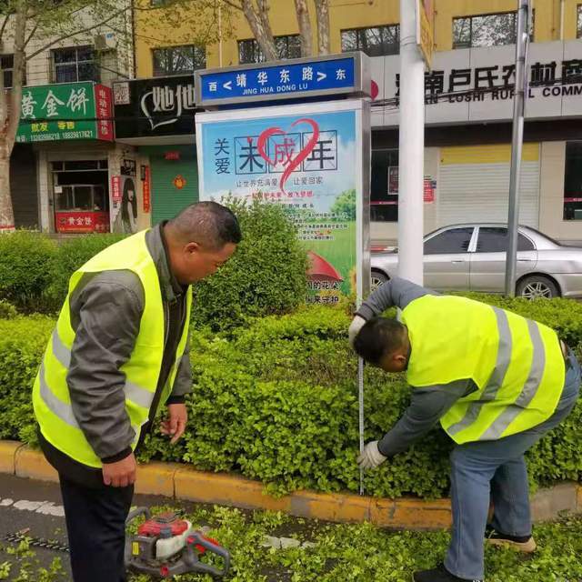 河南省卢氏县城市管理局:道路绿篱精修剪"五一"山城献美景