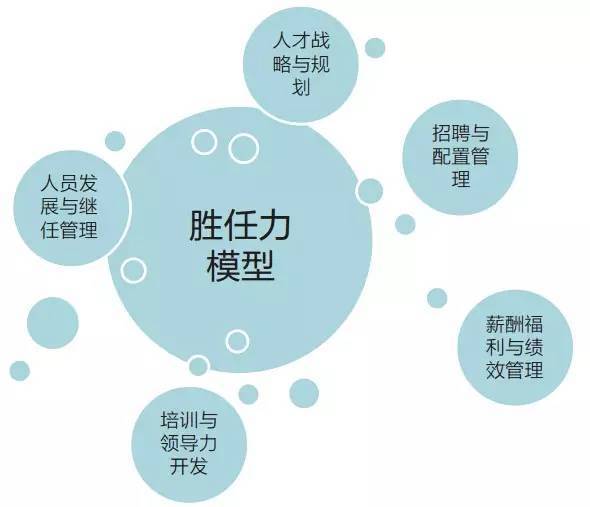 3,战略协同力:凝聚中高管团队,hr是穿针引线的协调高手寻找与中高管