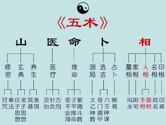 人的关系的这些人,将"命,卜,相,医,山"这五类术数,归纳成为"中国五术"