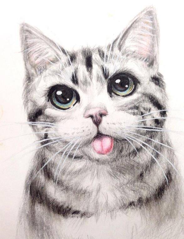 猫咪绘画教程:只需要8步,教你画出一只可爱的小猫咪