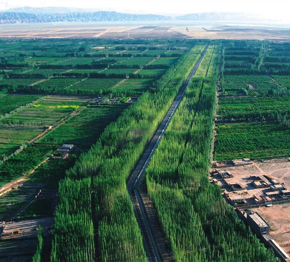 荒漠变林海!柯柯牙,新疆版的塞罕坝荒漠绿化奇迹!