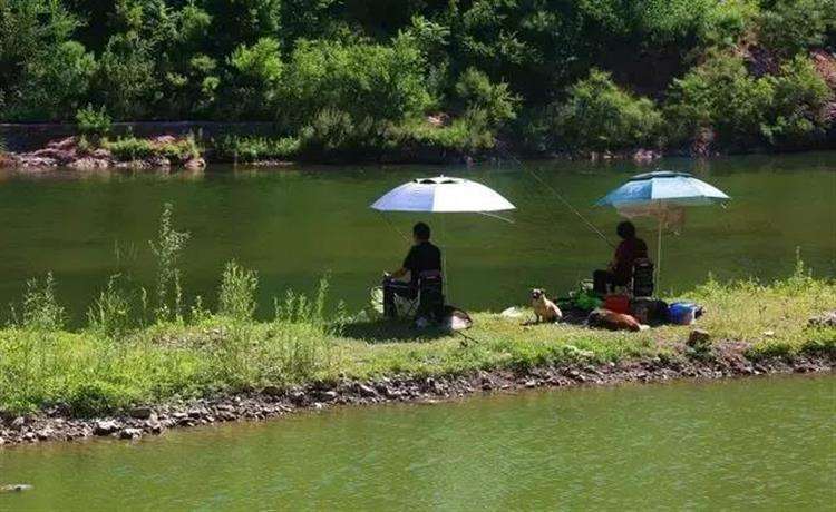 夏季水库钓鱼饵料,水深和选竿技巧