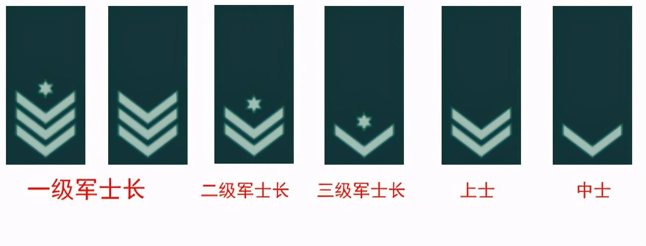 以色列国防军的士官军衔分为一级军士长,二级军士长,三级军士长,上士