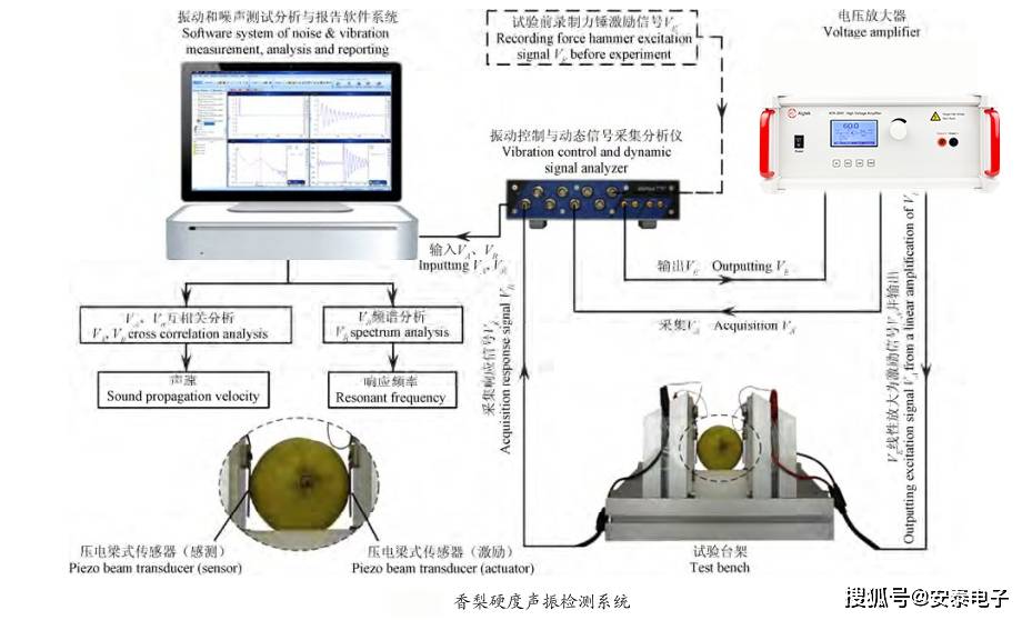 功率放大器基于声振响应法的香梨硬度无损检测中的应用,安泰电子_进行