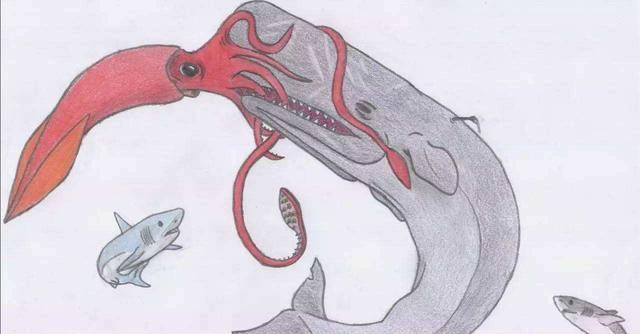 据说,成年大王酸浆鱿的唯一天敌,便是雄性成年抹香鲸.