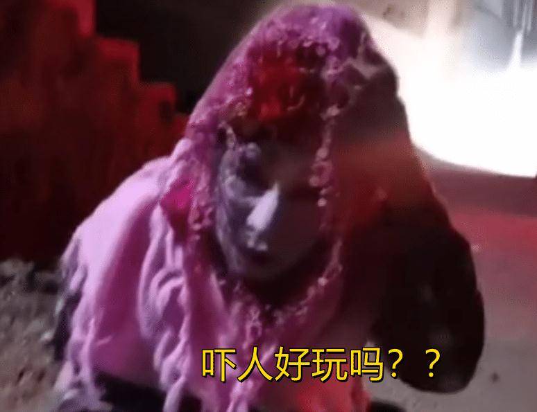 原创河北男子半夜装鬼吓人,反被路人制服抓获,蹲在地上求放过!